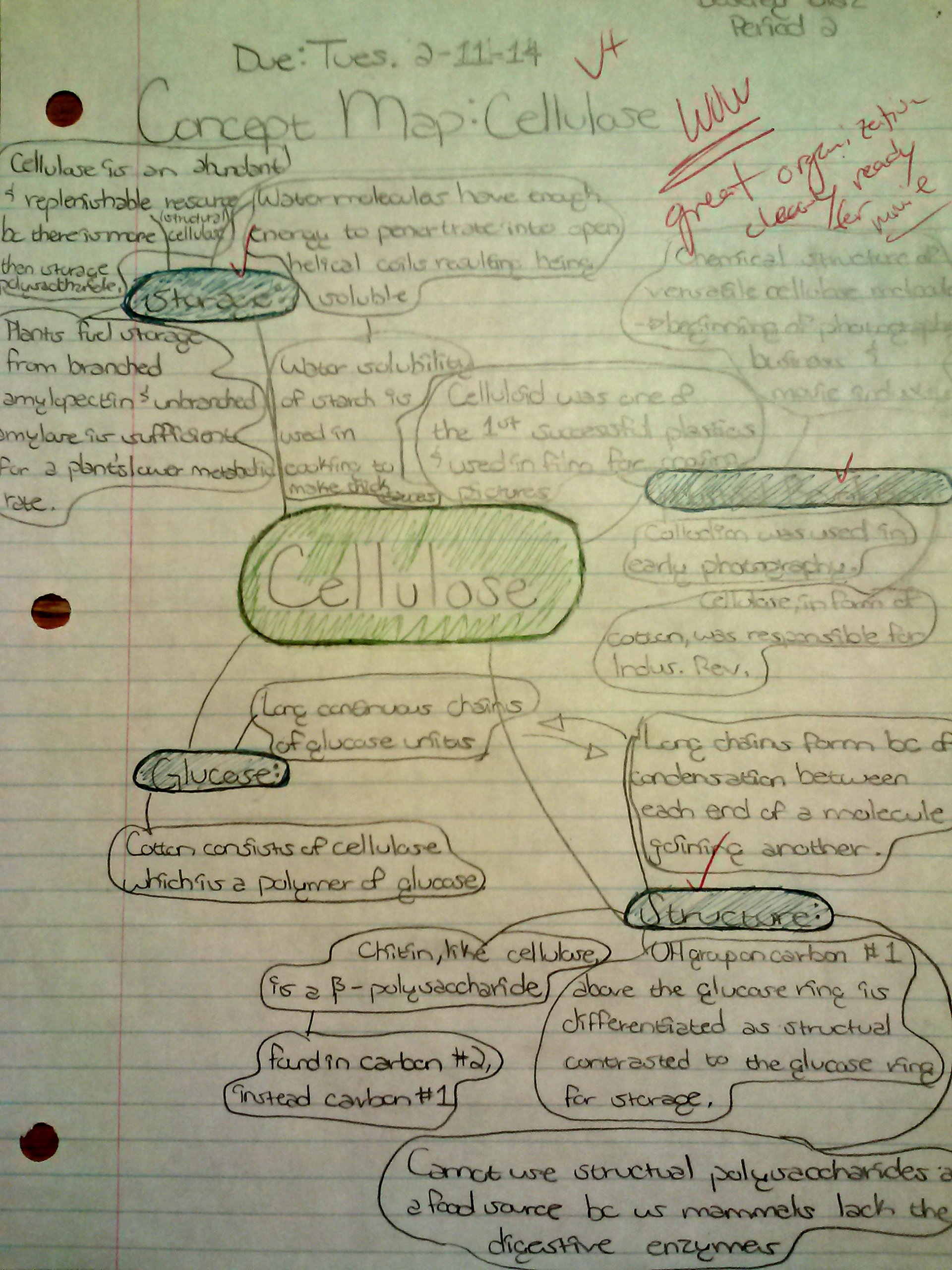 Science World Worksheet Answers - Nidecmege Inside Science World Worksheet Answers