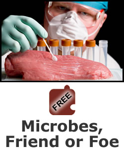 Science of Food Safety: Microbes, Friend or Foe