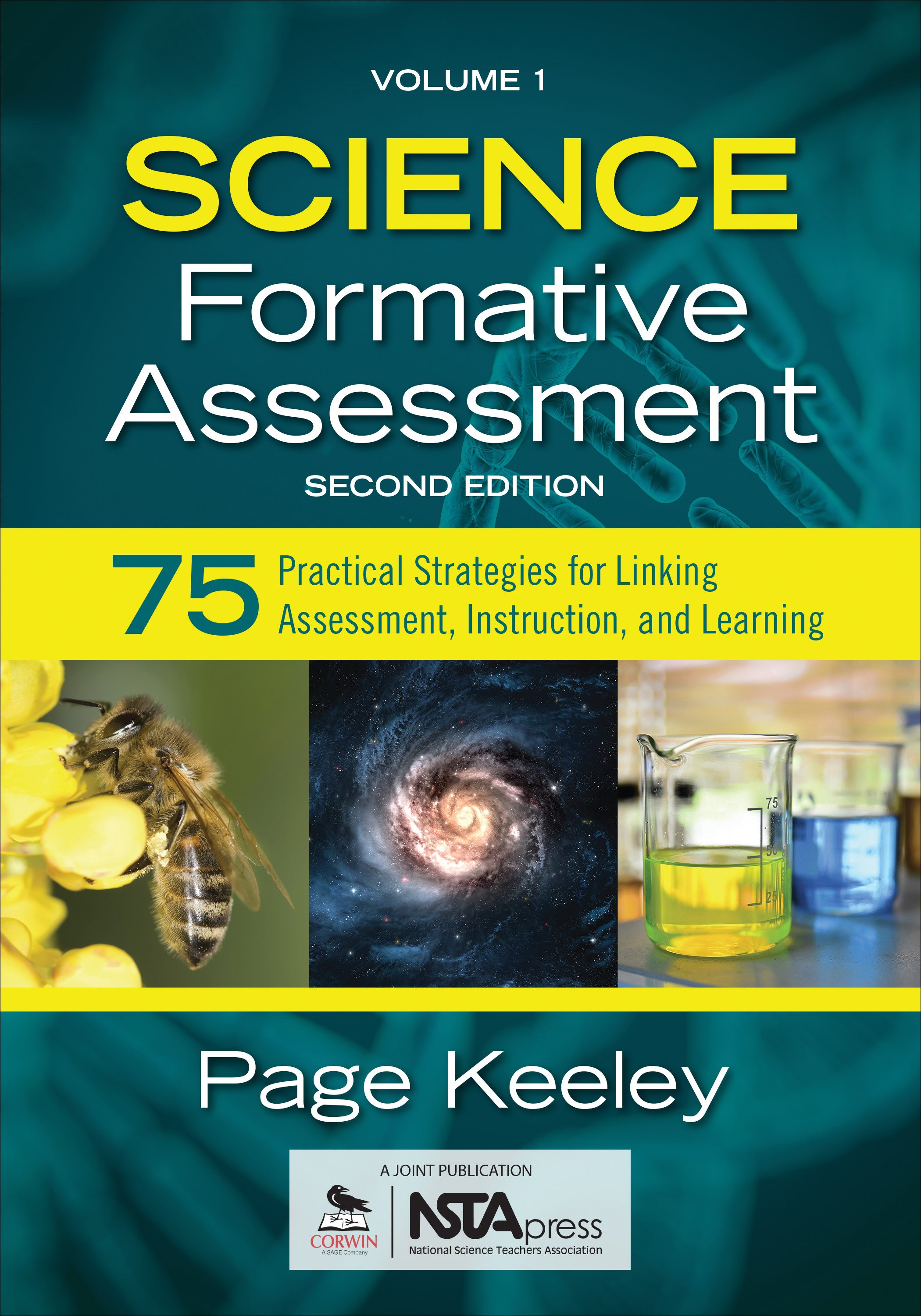 formative assessment strategies pdf
