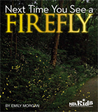 Next Time You See a Firefly (Library binding)