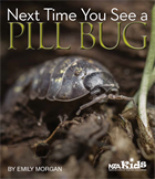 Next Time You See a Pill Bug (Library binding)