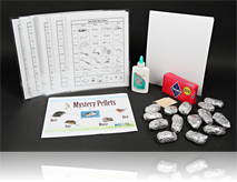 Mystery Pellets ClassPack
