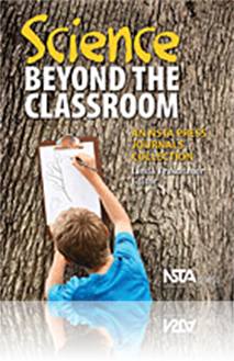 Science Beyond the Curriculum: Projects and Challenges