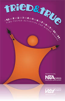 How the Brain Visually Perceives the World