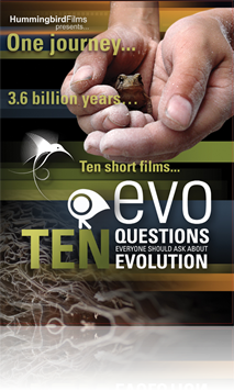 DVD ONLY EVO: Ten Questions Everyone Should Ask About Evolution
