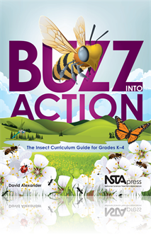 Delightful Decomposers