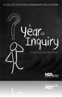 Inquiry Into the Heart of a Comet