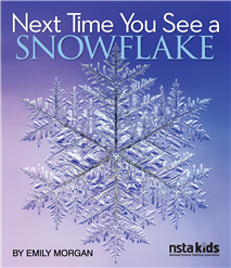 Next Time You See a Snowflake