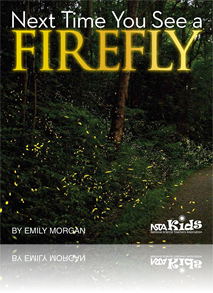 Firefly sample chapter