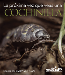 La próxima vez que veas una cochinilla (Sample chapter)
