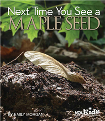 Next Time You See a Maple Seed sample