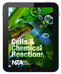 Cells and Chemical Reactions