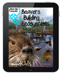 Beavers Building Ecosystems