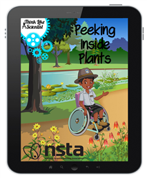 Peeking Inside Plants