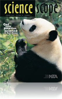 Rocketing into Adaptive Inquiry
