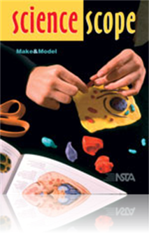 The Egg: In the Lab and Across Cultures