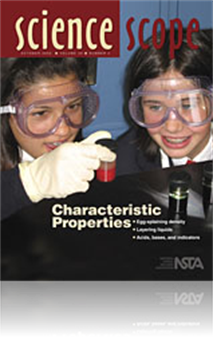 Shampoo, Soy Sauce, and the Prince's Pendant: Density for Middle-Level Students