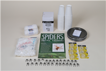 Spider Science ClassPack: Grades 3-5