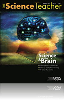 Analogies and the 5E Model