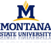 Online Courses: MSU Master of Science in Science Education: Computer Science in the Classroom: Computational Thinking for Teachers