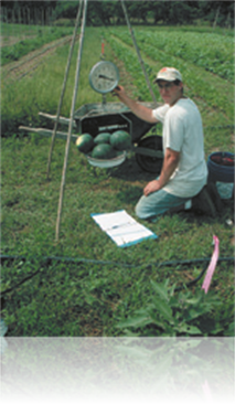 Point of View: Miles Pickering—A Bibliography—A Chemistry Educator's Legacy