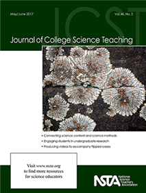 Adapting a Student-Centered Chemistry Curriculum to a Large-Enrollment Context: Successes and Challenges