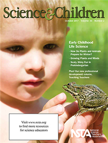 Science 101: How Do Amphibians Breathe?