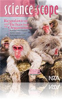 From A Bird’s Eye View: An Interdisciplinary Approach to Migration 