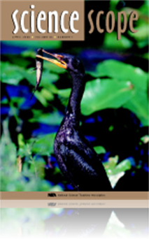 The Cormorant Controversy