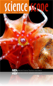 Eyes in the Sky: The Big Picture