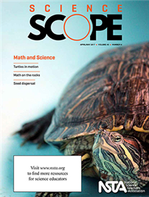 Beluga Whales: Hyphothesis Generation and Evaluation