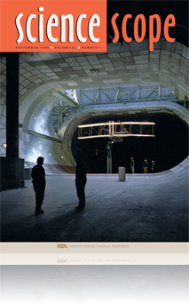 Urban Bird-Watching II