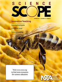 Exploring Terrestrial Isopods: How Terrestrial Isopods’ Behavior Can Influence Survival and Reproduction