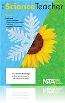 Where's That Dolphin?