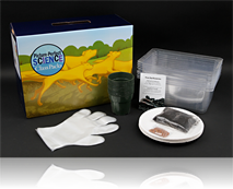 Wiggling Worms ClassPack: Grades K-5